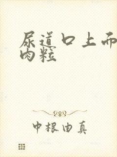 尿道口上面的小肉粒