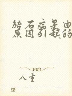 结石病是由什么原因引起的