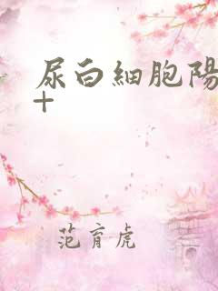 尿白细胞阳性2+