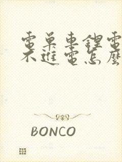 电单车锂电池充不进电怎么修复