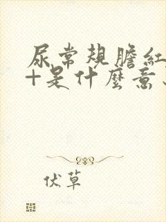 尿常规胆红素1+是什么意思