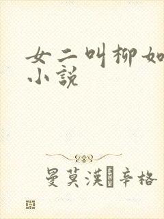 女二叫柳如烟的小说
