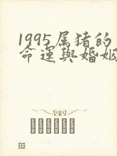 1995属猪的命运与婚姻状况