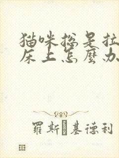 猫咪总是拉尿在床上怎么办