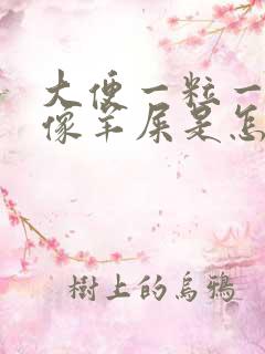 大便一粒一粒的像羊屎是怎么回事