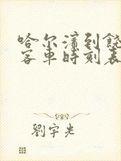 哈尔滨到饶河县客车时刻表