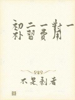 初二一对一数学补习费用