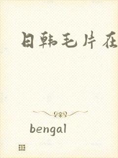 日韩毛片在线插