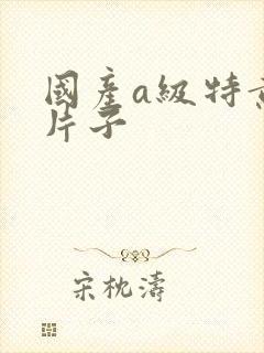 国产a级特黄的片子