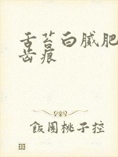 舌苔白腻肥厚有齿痕