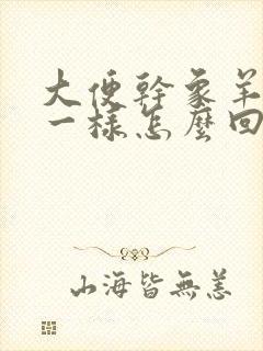 大便干象羊屎蛋一样怎么回事