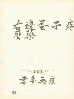 右边蛋子疼吃什么药