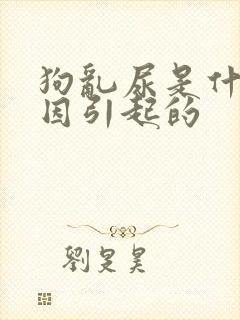 狗乱尿是什么原因引起的