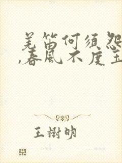 羌笛何须怨杨柳,春风不度玉门关修辞