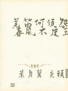 羌笛何须怨杨柳 春风不度玉门关