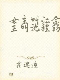 女主叫江念姿男主叫沈程的小说