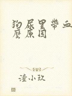 狗尿里带血是什么原因