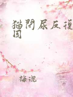 猫闭尿反复的原因