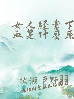 女人经常下面流血是什么原因