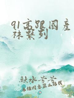 91高跟国产丝袜系列