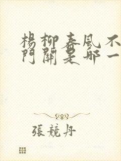 杨柳春风不度玉门关是哪一首诗