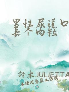 男性尿道口上面长个肉粒