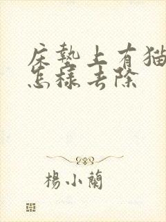 床垫上有猫尿味怎样去除