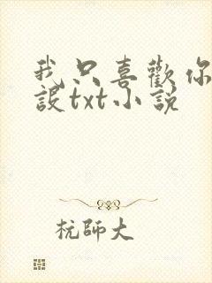 我只喜欢你的人设txt小说