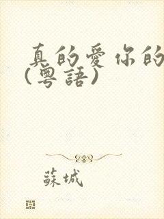 真的爱你的歌词(粤语)