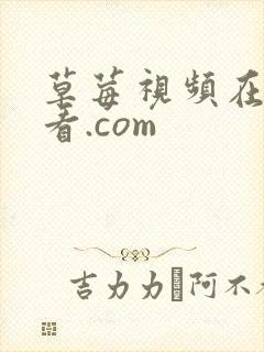 草莓视频在线观看.com