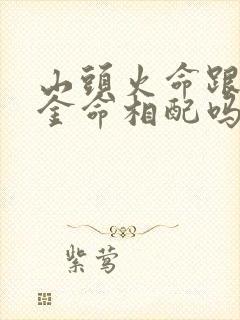 山头火命跟剑锋金命相配吗