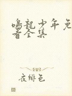 鸣龙少年免费观看全集