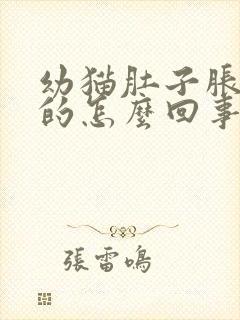 幼猫肚子胀硬硬的怎么回事