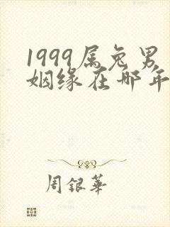 1999属兔男姻缘在哪年