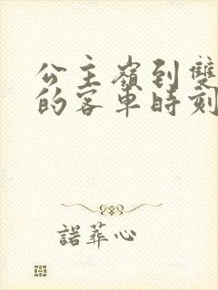 公主岭到双城堡的客车时刻表