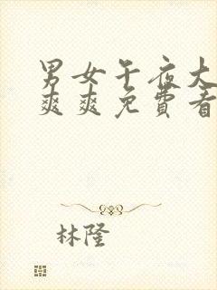 男女午夜大片爽爽爽免费看