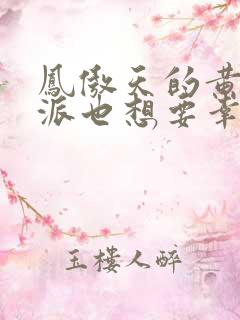 凤傲天的黄毛反派也想要幸福