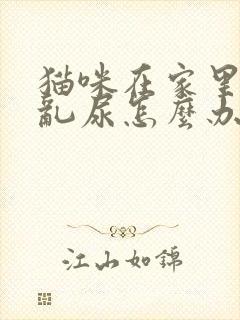 猫咪在家里到处乱尿怎么办