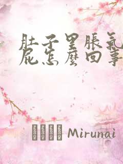 肚子里胀气总放屁怎么回事儿