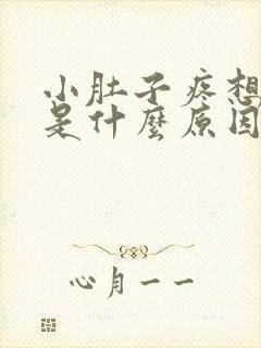 小肚子疼想拉尿是什么原因