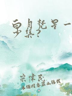 白月梵星一共多少集?