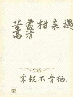 苦尽柑来遇见你高清