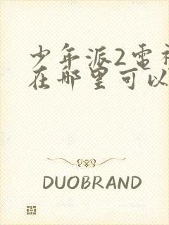 少年派2电视剧在哪里可以看