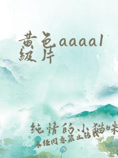 黄色aaaa1级片