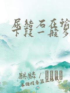 尿结石在输尿管下段一般多久能排出