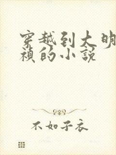 穿越到大明当崇祯的小说