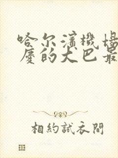 哈尔滨机场回大庆的大巴最晚几点