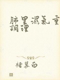 肺里湿气重怎么调理