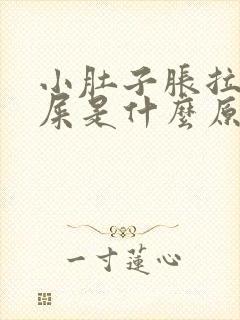 小肚子胀拉不出屎是什么原因