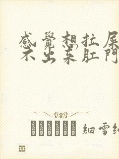 感觉想拉屎又拉不出来肛门有坠胀